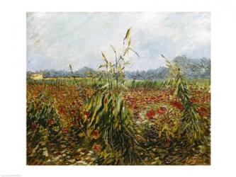 Corn Fields and Poppies, 1888 | Obraz na stenu