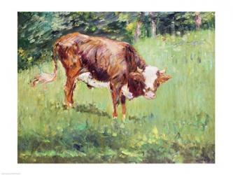 Young Bull in a Meadow, 1881 | Obraz na stenu
