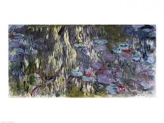 Waterlilies | Obraz na stenu
