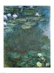 Water-Lilies | Obraz na stenu