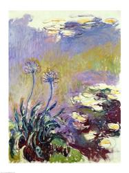 The Agapanthus, 1914-17 | Obraz na stenu