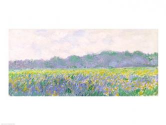 Field of Yellow Irises at Giverny, 1887 | Obraz na stenu