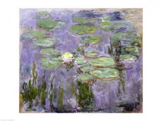 Waterlilies, 1915 | Obraz na stenu