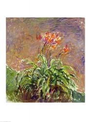 Hemerocallis, 1914-17 | Obraz na stenu