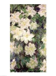 White Clematis, 1887 | Obraz na stenu