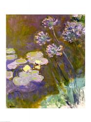 Waterlilies and Agapanthus, 1914-17 | Obraz na stenu