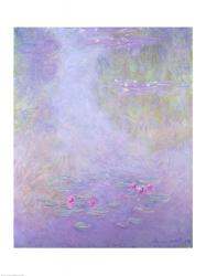 Waterlilies, 1908 | Obraz na stenu