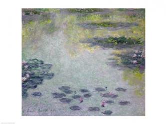 Waterlilies, 1906 | Obraz na stenu