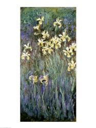 The Yellow Irises | Obraz na stenu