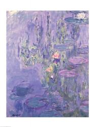 Waterlilies, 1907 | Obraz na stenu