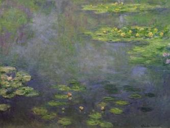 Waterlilies | Obraz na stenu