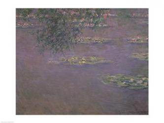 Waterlilies, 1903 | Obraz na stenu