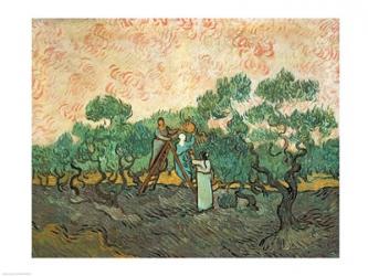 The Olive Pickers | Obraz na stenu