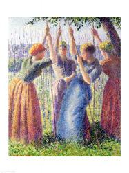 Women Planting Peasticks, 1891 | Obraz na stenu