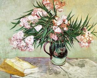 Oleanders and Books, 1888 | Obraz na stenu