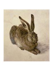 Young Hare, c.1502 | Obraz na stenu