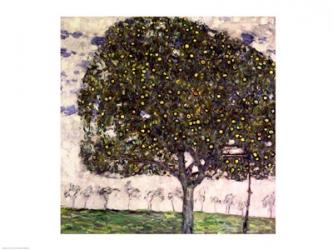 The Apple Tree II, 1916 | Obraz na stenu