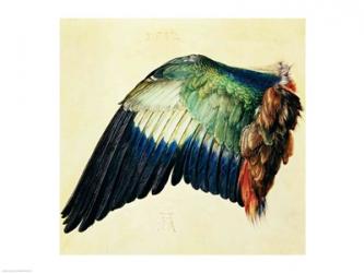 Wing of a Blue Roller, 1512 | Obraz na stenu