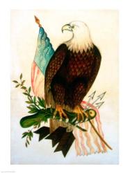 Bald eagle with flag | Obraz na stenu