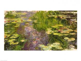 Waterlilies | Obraz na stenu