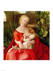 Virgin and Child 'Madonna with the Iris', 1508 | Obraz na stenu