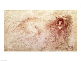 Sketch of a roaring lion | Obraz na stenu