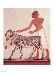 Peasant leading a cow to sacrifice | Obraz na stenu