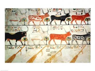 The seven celestial cows and the sacred bull and the four rudders of heaven | Obraz na stenu