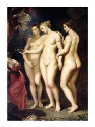 The Medici Cycle: Education of Marie de Medici, detail of the Three Graces | Obraz na stenu