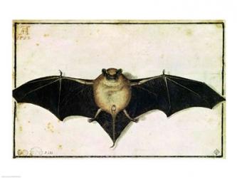 Bat, 1522 | Obraz na stenu