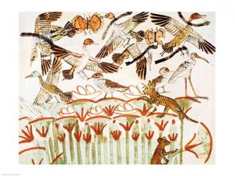Fishing and fowling in the marshes, detail of the birds, from the Tomb Chapel of Menna | Obraz na stenu