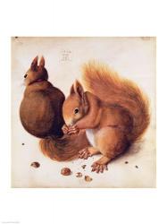Squirrels, 1512 | Obraz na stenu