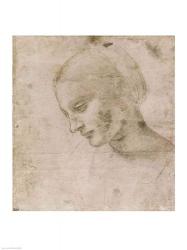 Head of a Young Woman or Head of the Virgin | Obraz na stenu