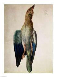 Blue Crow, 1512 | Obraz na stenu