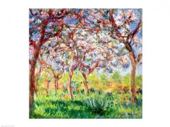 Printemps a Giverny, 1903 | Obraz na stenu