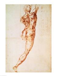 Nude, study for the Battle of Cascina | Obraz na stenu