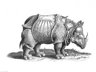 Rhinoceros | Obraz na stenu