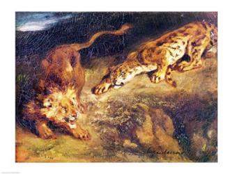 Tiger and Lion | Obraz na stenu