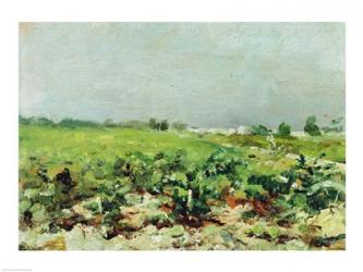 Celeyran, View of the Vineyard, 1880 | Obraz na stenu