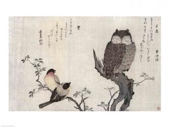 An Owl and two Eastern Bullfinches | Obraz na stenu