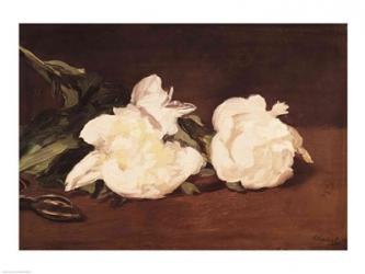 Branch of White Peonies and Secateurs, 1864 | Obraz na stenu