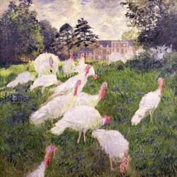 The Turkeys at the Chateau de Rottembourg, Montgeron, 1877 | Obraz na stenu