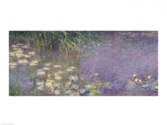 Waterlilies: Morning, 1914-18 (left section) | Obraz na stenu