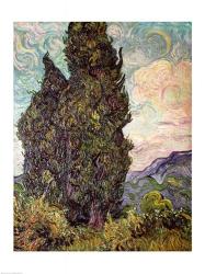 Cypresses, 1889 | Obraz na stenu