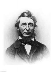 Henry Thoreau | Obraz na stenu