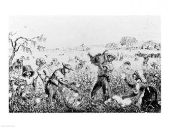 Picking Cotton on a Southern Plantation | Obraz na stenu