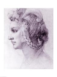 Ideal Head of a Woman, c.1525-28 | Obraz na stenu