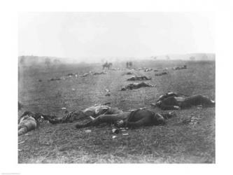 The Harvest of Death, Gettysburg, 1863 | Obraz na stenu