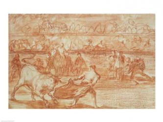 Bullfighting | Obraz na stenu