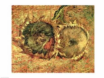 Two Cut Sunflowers, 1887 | Obraz na stenu